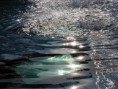 /album/galleria-fotografica/image012-jpg/