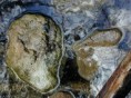 /album/galleria-fotografica/image017-jpg/